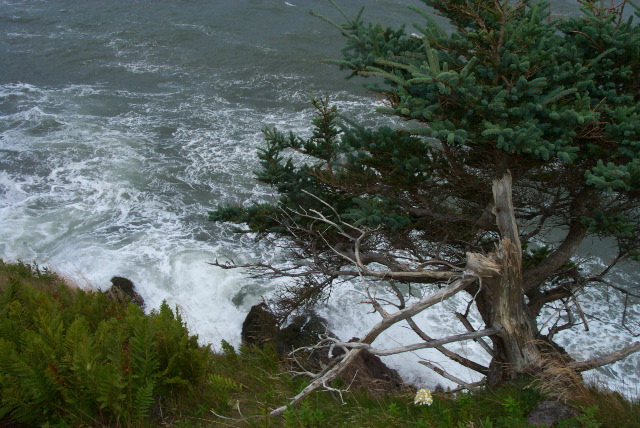 P0000337